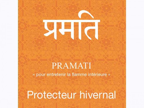 Article de Yoga Pramati-Protection Hivernale Cure de 80 sachets x 1.5gr