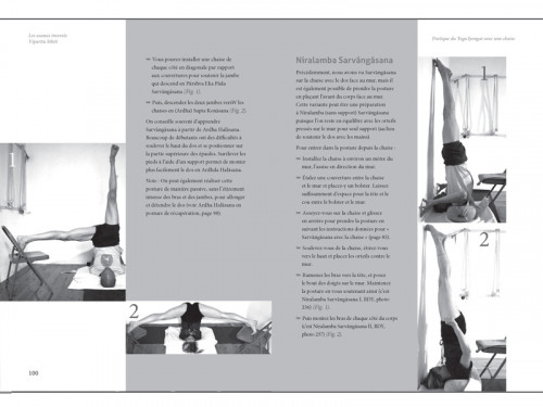 Article de Yoga Pratique du Yoga Iyengar - Avec Une Chaise Eyal Shifroni