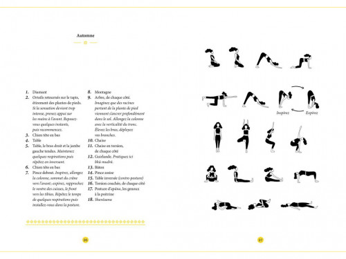 Article de Yoga Recueil de Séances Clémentine Erpicum