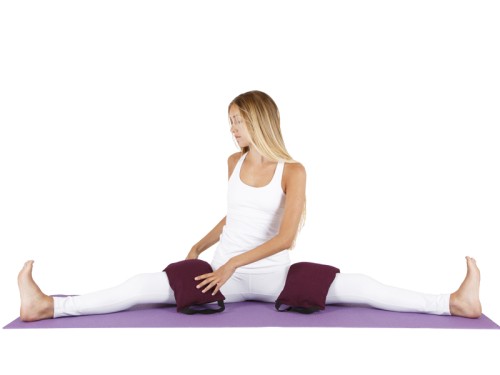 Article de Yoga Sac de sable Sandbag 100% coton Bio Livré avec sable