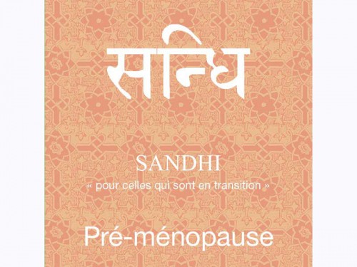Article de Yoga Sadhi-Préménopause Cure de 80 sachets x 1.5gr