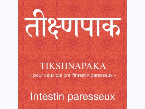 Article de Yoga Tikshnapaka-Intestin Paresseux Cure de 80 sachets x 1.5gr