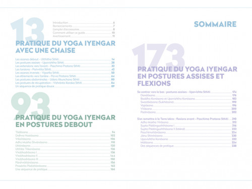 Article de Yoga Yoga Iyengar: La bible du yoga avec accessoires Eyal Shifroni