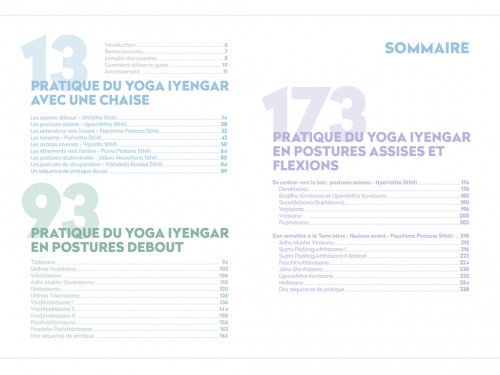 Yoga Iyengar: La bible du yoga avec accessoires Chin Mudra
