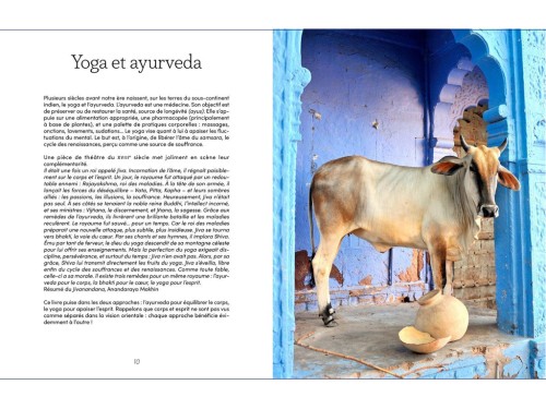 Yogi Food (nouvelle edition) Clémentine Erpicum et Mélanie Caillo