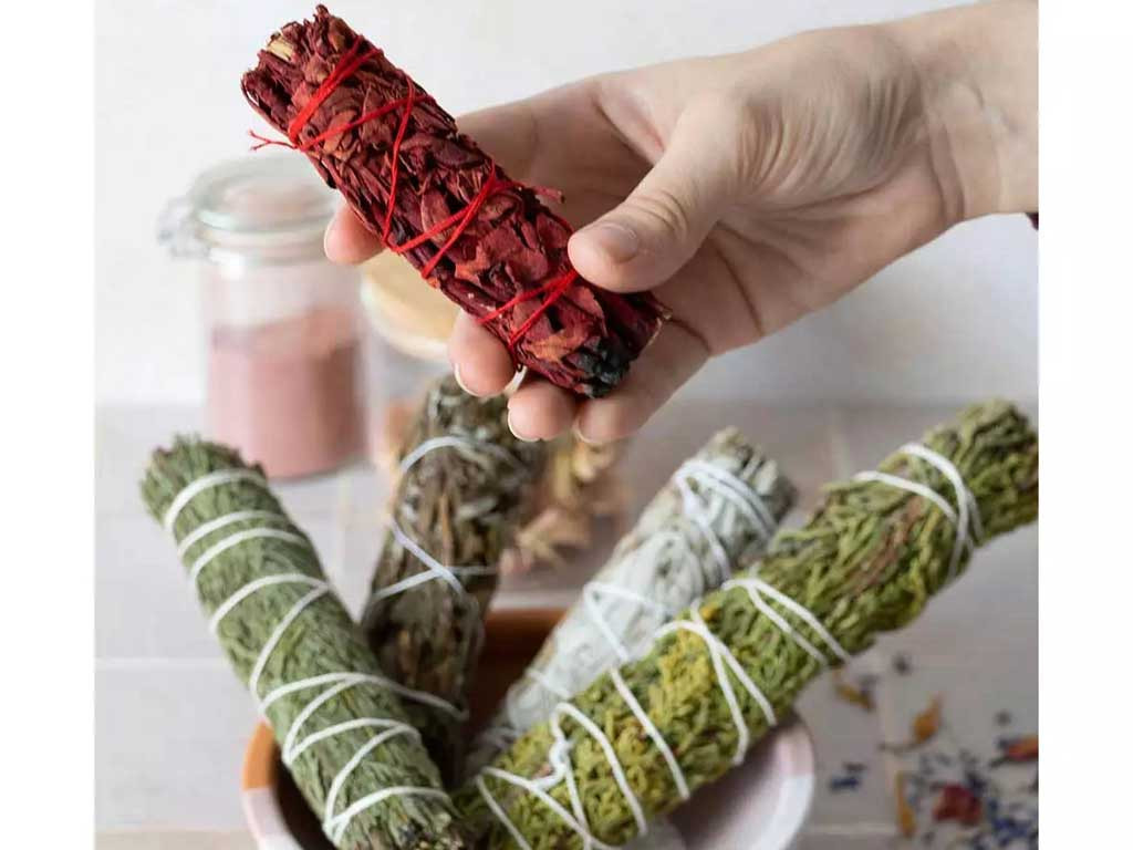 Blutsalbei-Zopf – Drache 10cm