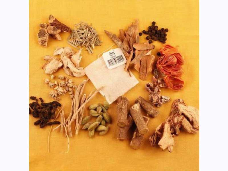 Virya-vitalità Cura da 80 bustine x 1,5gr