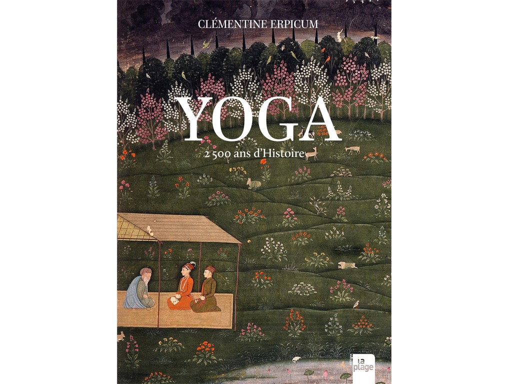 Yoga: 2500 anni di storia (nuova edizione) Clementina Erpicum