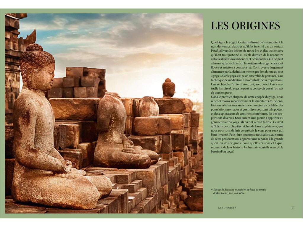 Yoga: 2500 anni di storia (nuova edizione) Clementina Erpicum