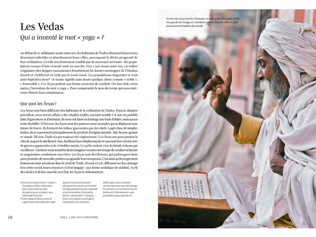 Yoga 2500 ans d'Histoire (nouvelle edition) Clémentine Erpicum