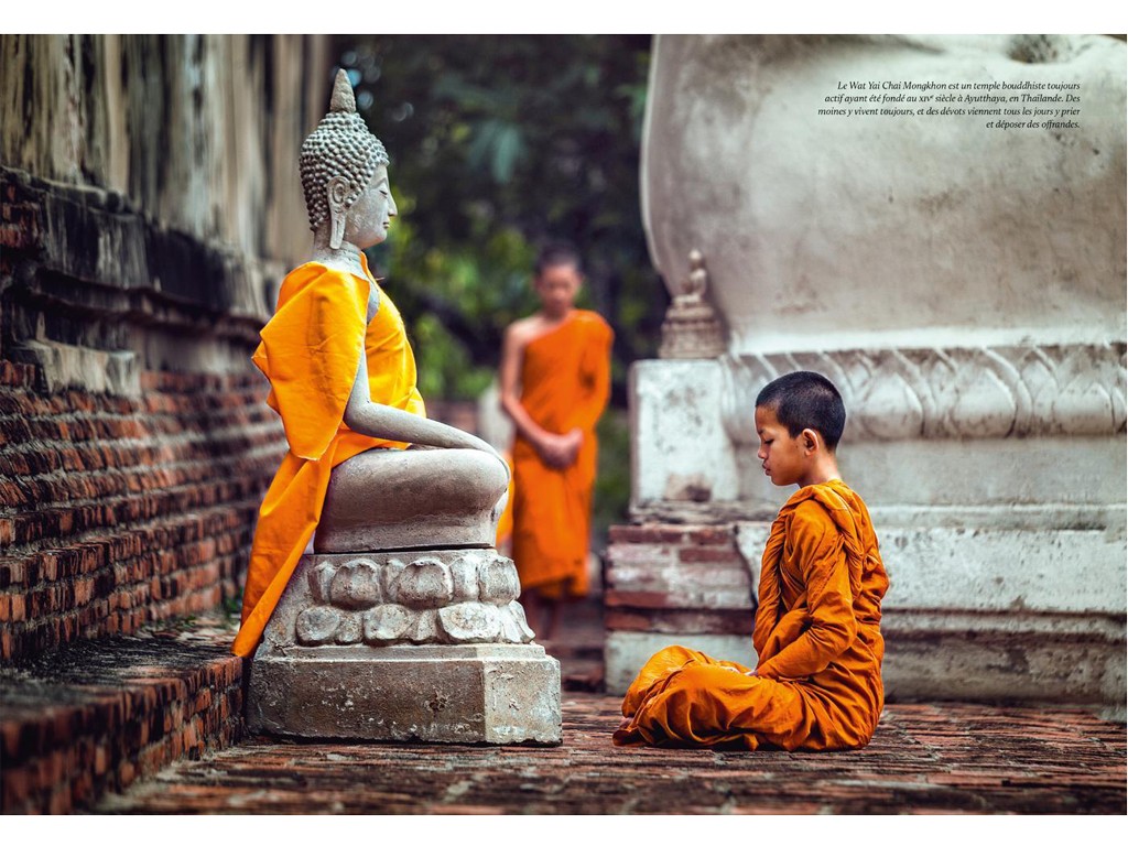 Yoga: 2500 anni di storia (nuova edizione) Clementina Erpicum