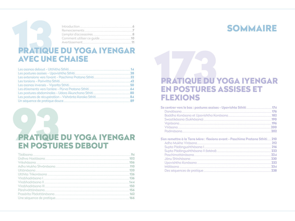 Yoga Iyengar: La bible du yoga avec accessoires Eyal Shifroni