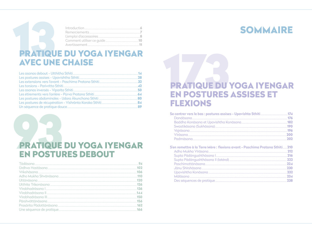 Yoga Iyengar: a bíblia do yoga com acessórios Eyal Shifroni