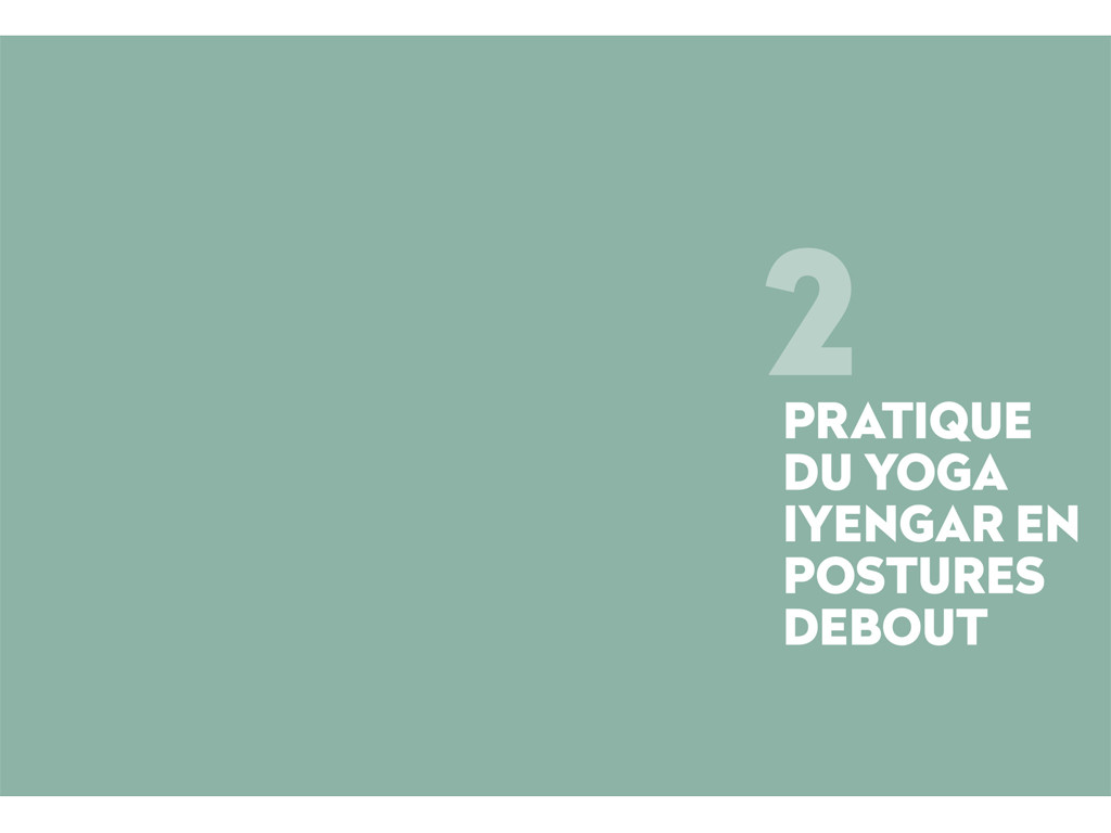 Yoga Iyengar: La bible du yoga avec accessoires Eyal Shifroni