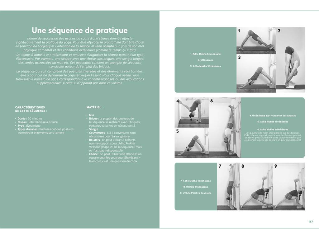 Yoga Iyengar: La bible du yoga avec accessoires Eyal Shifroni