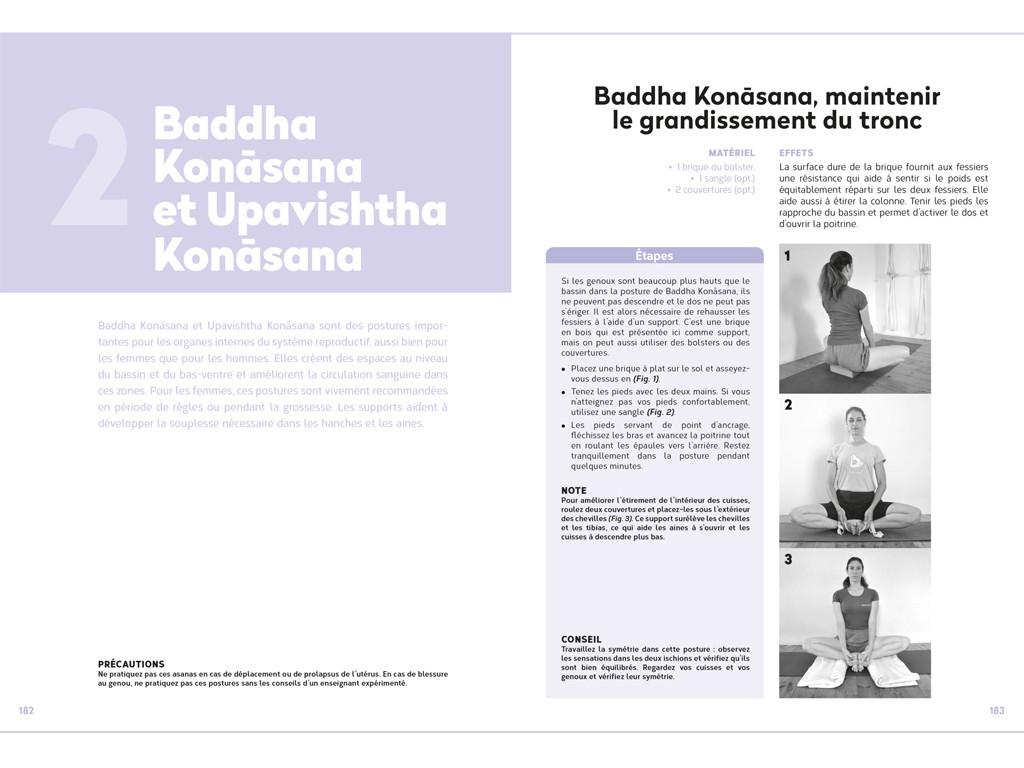 Yoga Iyengar: La bible du yoga avec accessoires Eyal Shifroni