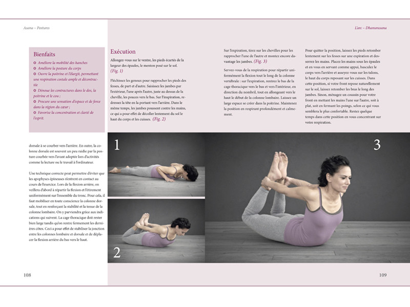 Yoga Perfectionnement Docteur Ronald Steiner / Anna Trökes