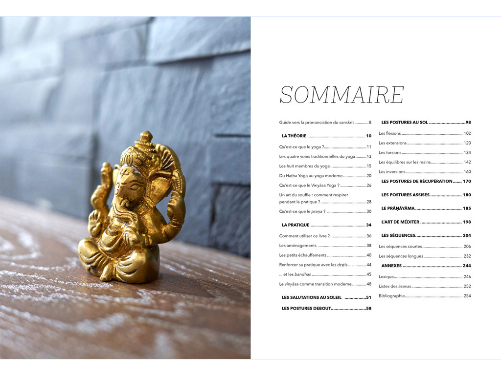 Yoga Vinyasa - L'éloge du souffle Amélie Annoni - Alex Blake