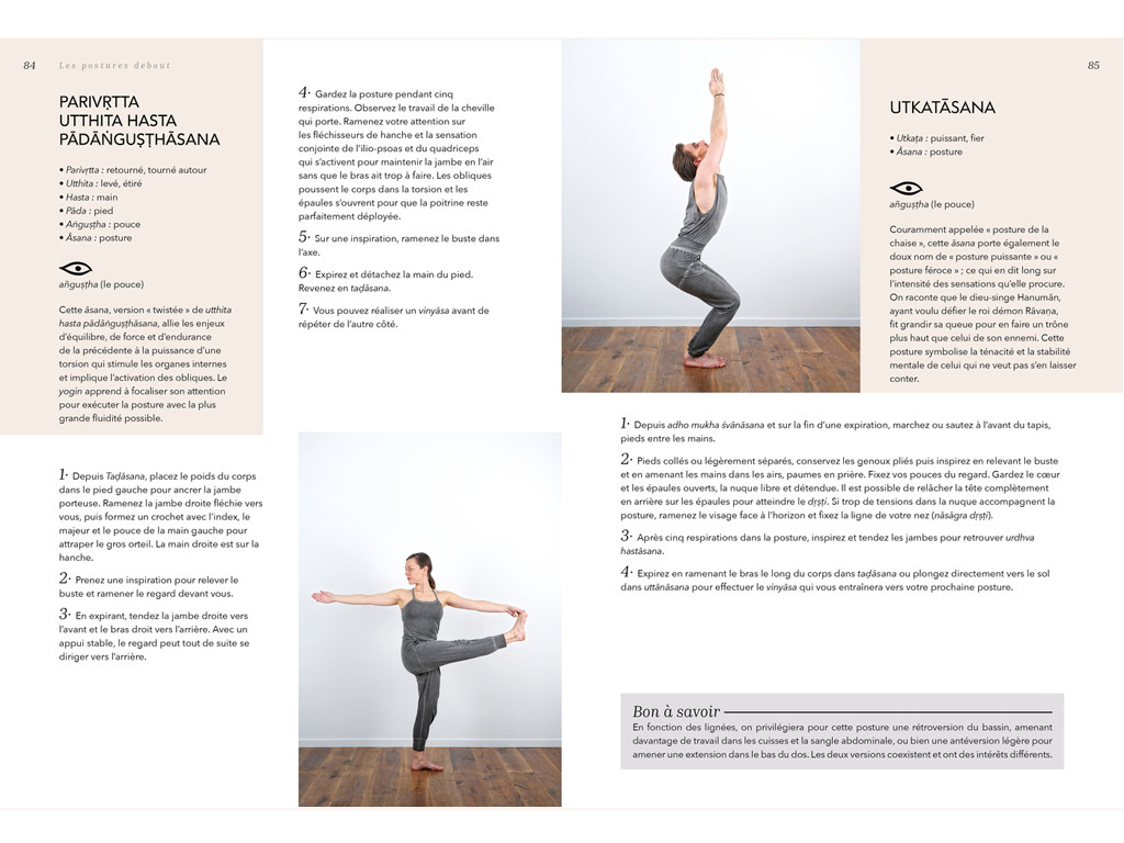 Yoga Vinyasa - L'éloge du souffle Amélie Annoni - Alex Blake