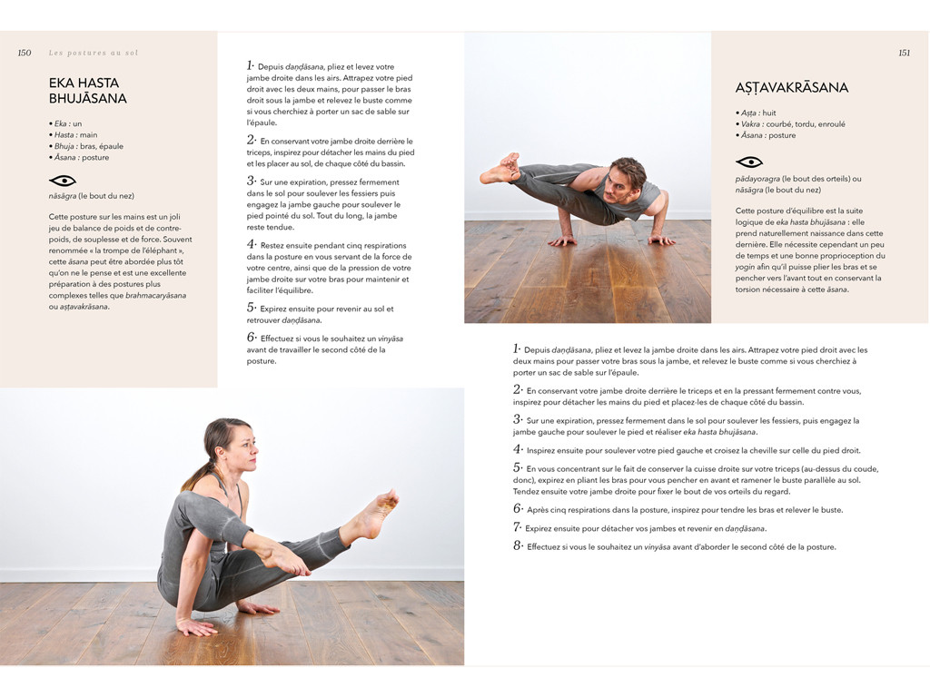Yoga Vinyasa - L'éloge du souffle Amélie Annoni - Alex Blake