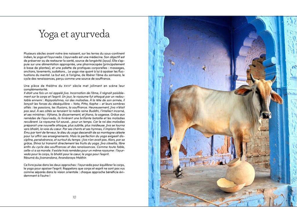 Yogi Food (nouvelle edition) Clémentine Erpicum et Mélanie Caillo