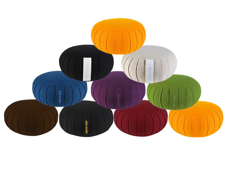 Zafus Standards Bio - Epeautre Lot de 12